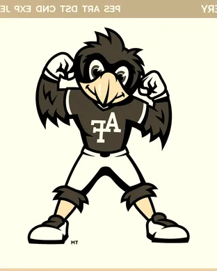 Air Force Falcons Las Vegas