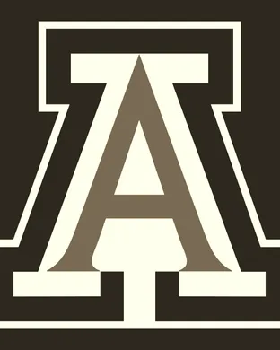 Arizona Wildcats Las Vegas