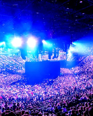 Cat Ce Las Vegas