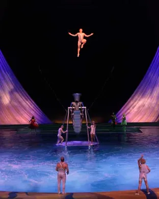 Cirque Du Soleil - O