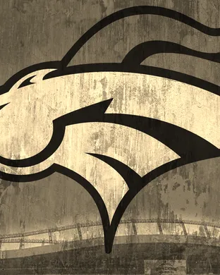 Denver Broncos Las Vegas