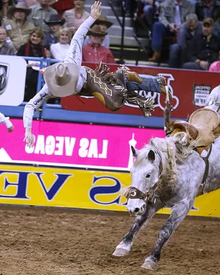 National Finals Rodeo