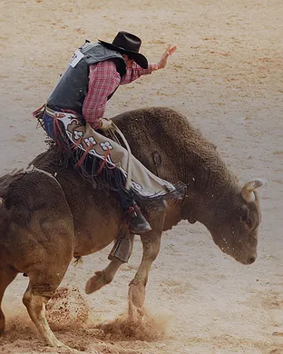 PBR: Teams Championship