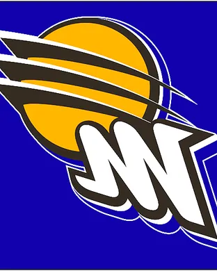 Phoenix Mercury Las Vegas