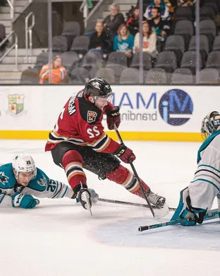 San Jose Barracuda Las Vegas