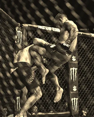 Ufc Fight Night Las Vegas