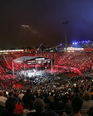 Noche De Campeones
