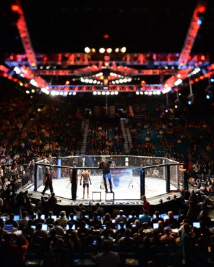 UFC Hall of Fame Induction Ceremony