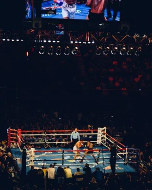 UFC 330 Las Vegas